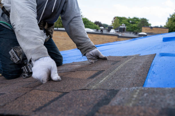 Best Commercial Roofing Services  in Moon Lake, FL