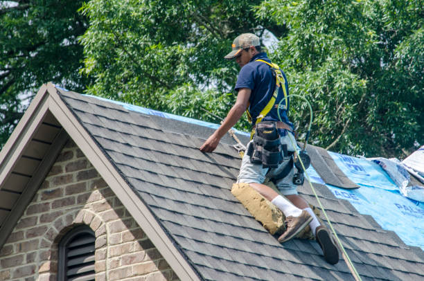 Best Roof Maintenance Services  in Moon Lake, FL